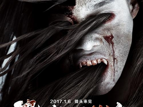 做个阿根廷签证